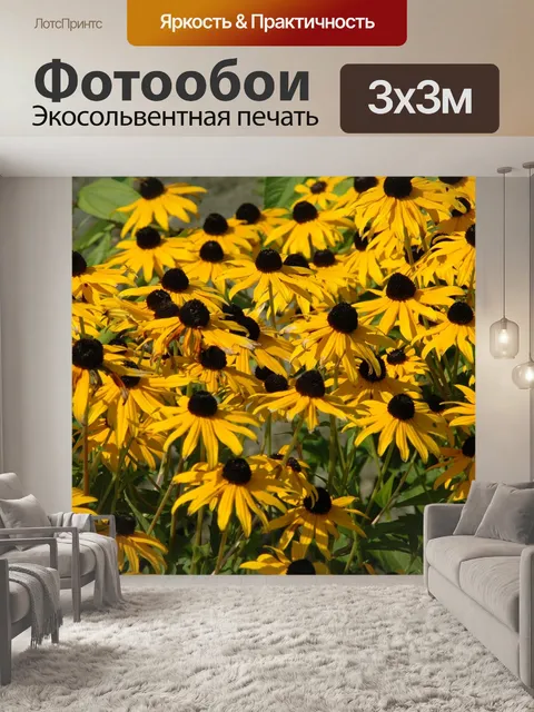 Фотообои Мэн