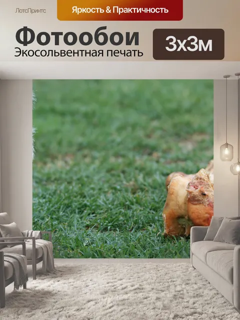 Фотообои Собака и ее кости
