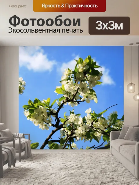Фотообои красивые цветы