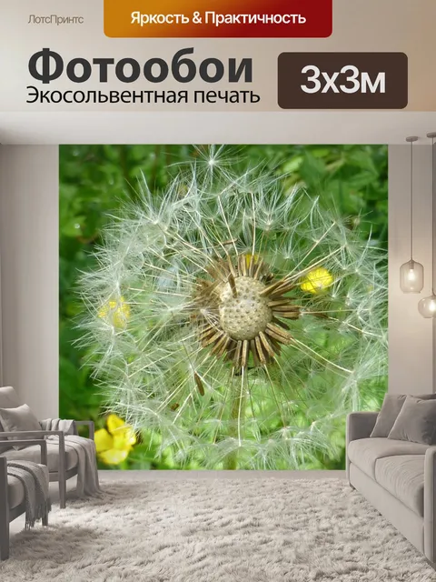 Фотообои Одуванчик