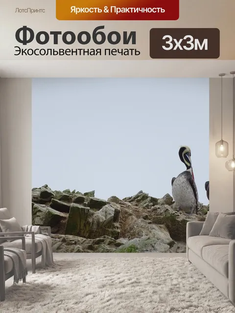 Фотообои Пеликаны