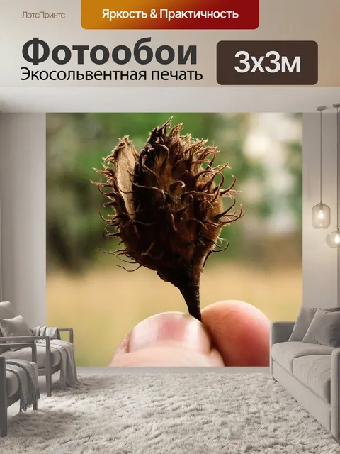 Фотообои Природа