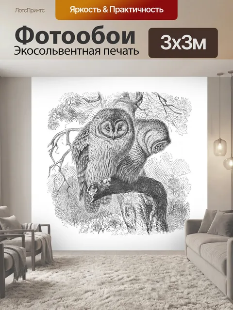 Фотообои Совы старинные иллюстрации старые