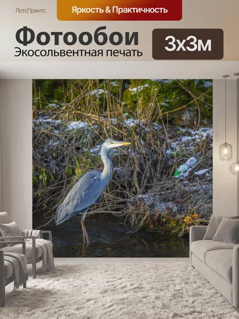 Фотообои Большая голубая цапля