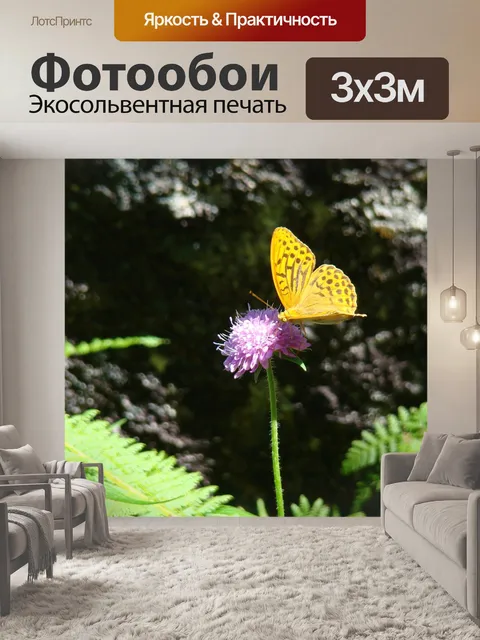 Фотообои Бабочка