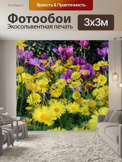 Фотообои Желтая маргаритка