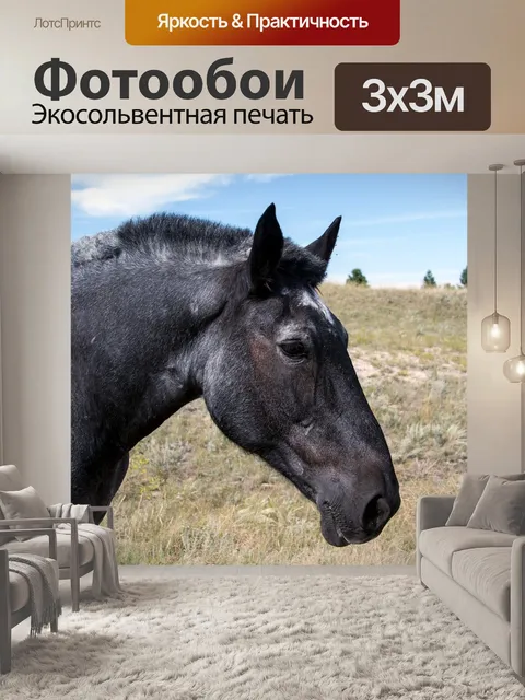 Фотообои Лошади