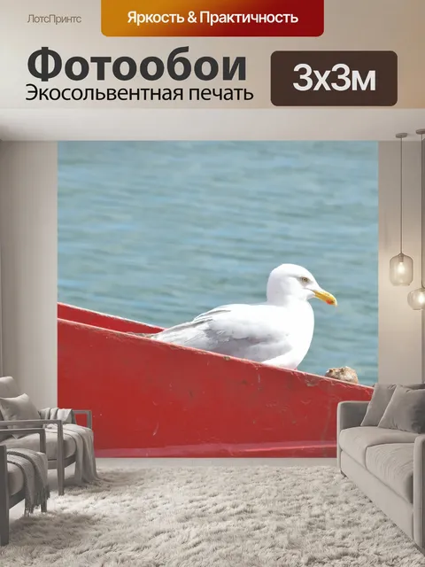 Фотообои Глаз чайки