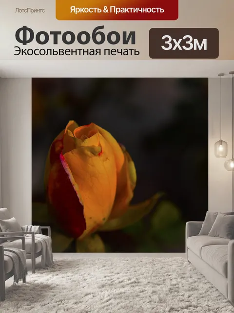 Фотообои Китайская роза