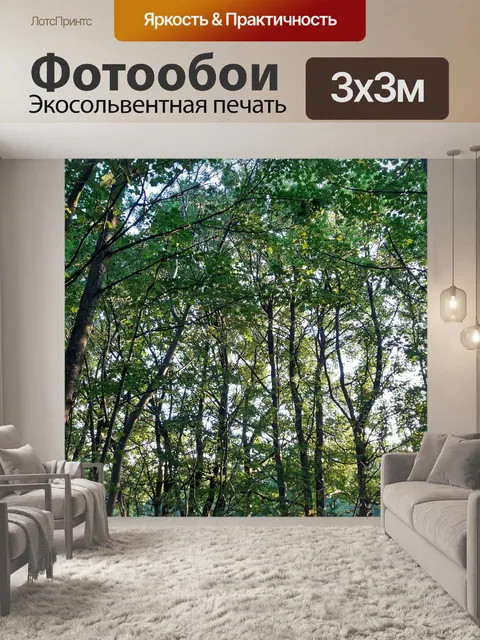 Фотообои Деревья