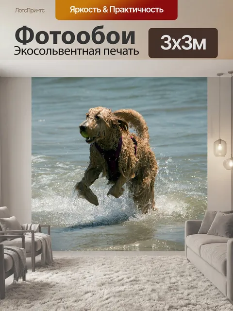 Фотообои Вода