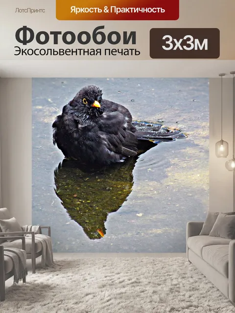 Фотообои Птица