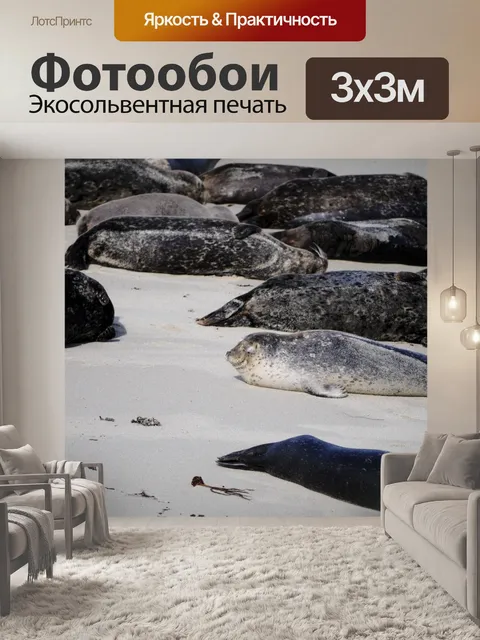 Фотообои Загорать Уплотнения