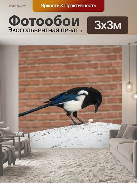 Фотообои Сорока