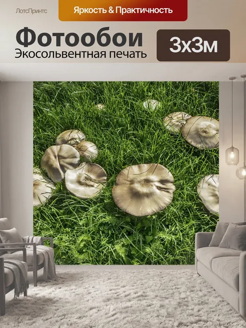 Фотообои Гриб