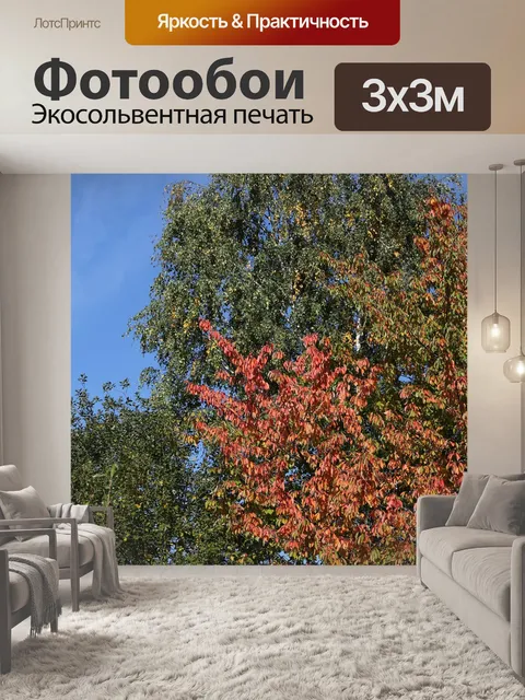 Фотообои Падение