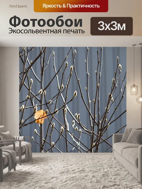 Фотообои Листья