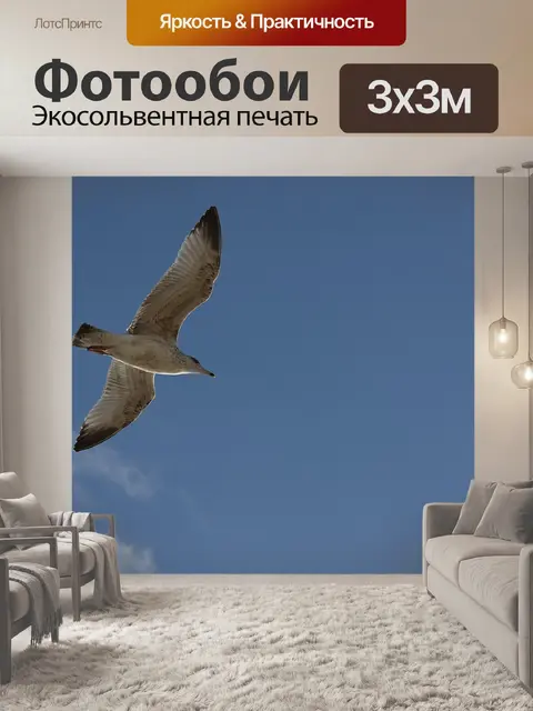 Фотообои Птица