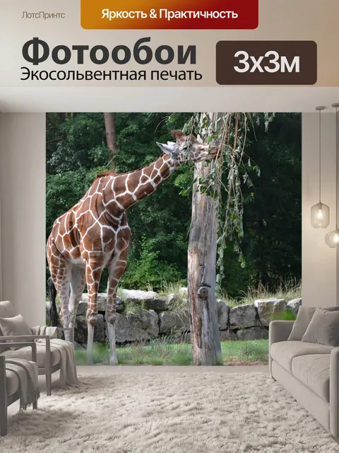 Фотообои Природа