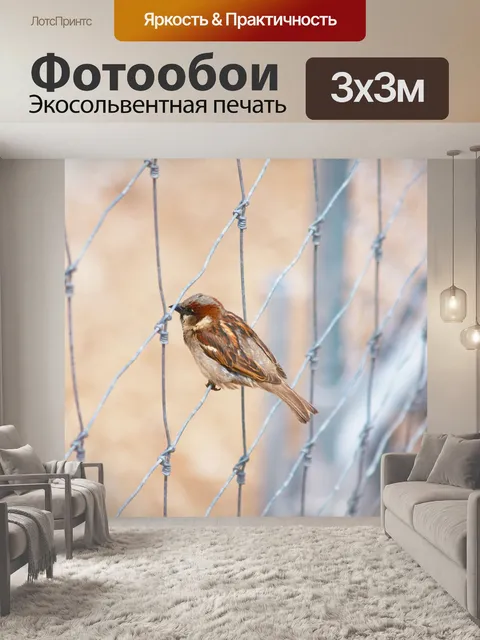 Фотообои Воробей