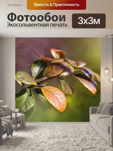 Фотообои Листья