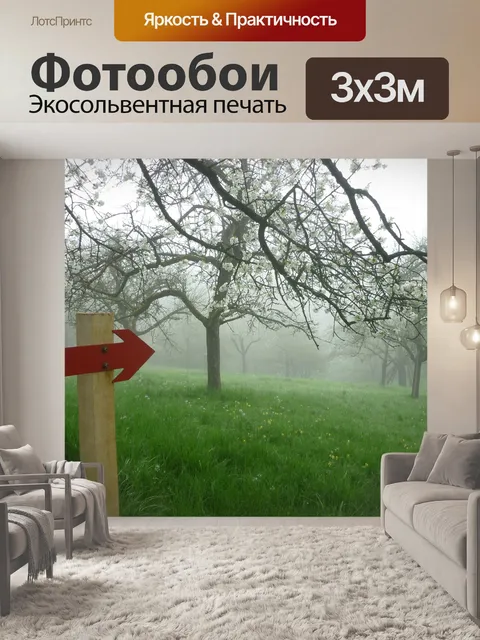 Фотообои Утром
