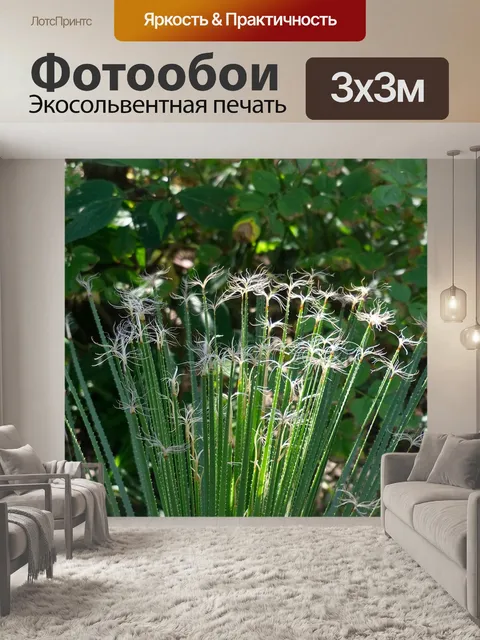 Фотообои Цветы