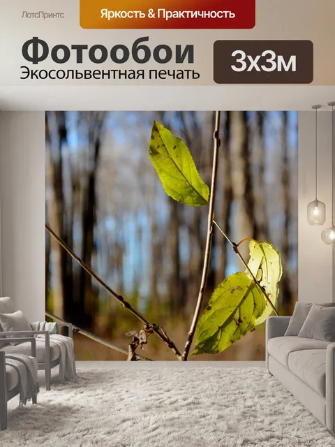 Фотообои Глубина