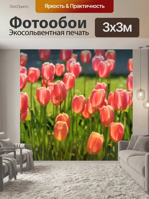 Фотообои Тюльпаны