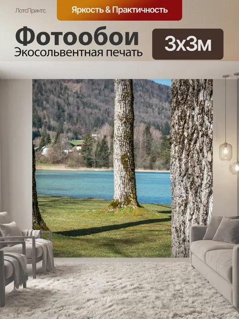 Фотообои Деревья
