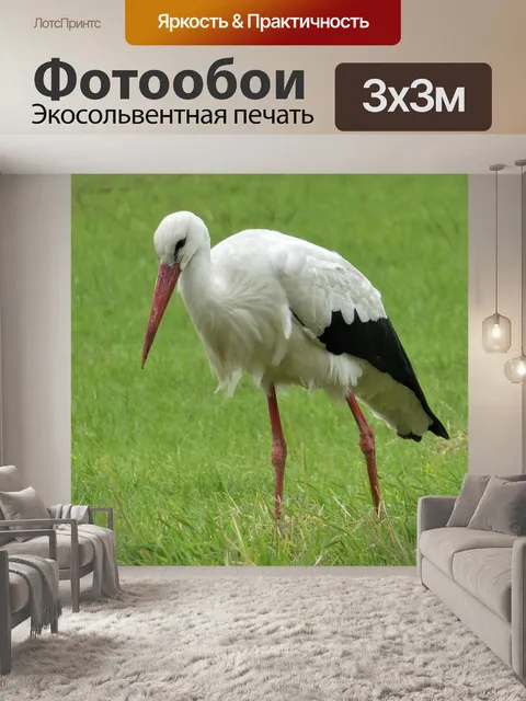 Фотообои Аист
