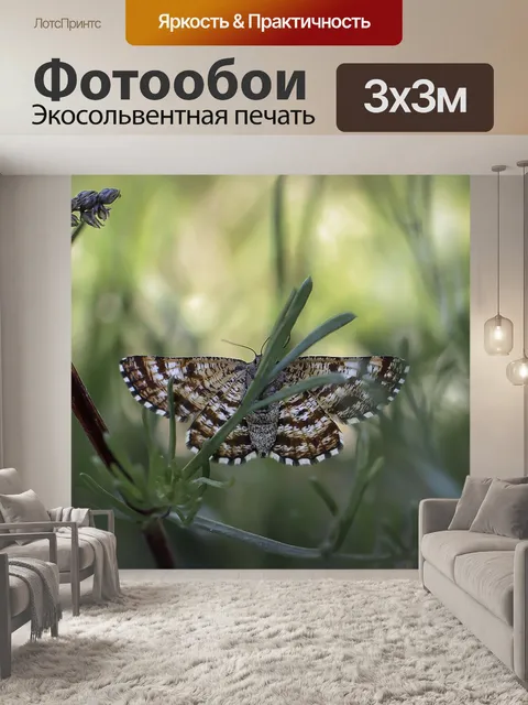 Фотообои Бабочка