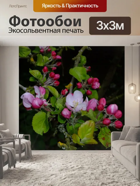 Фотообои Дерево зацветает