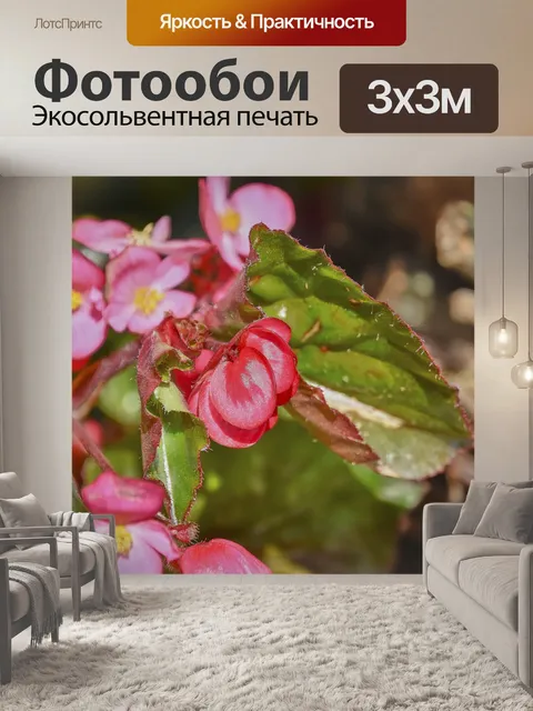 Фотообои Цветок