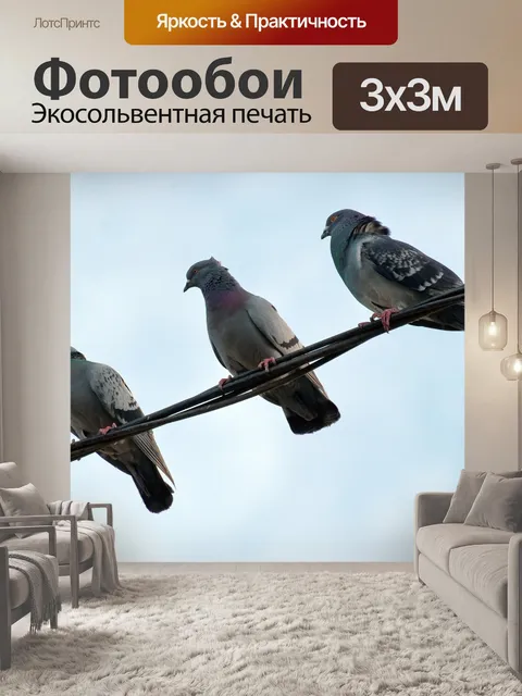 Фотообои Птицы