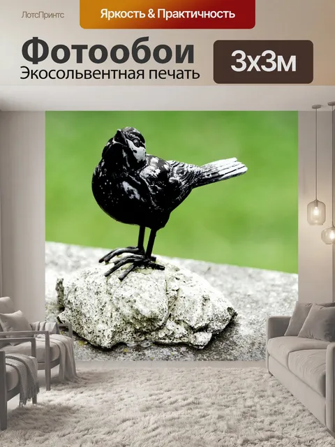 Фотообои Птица