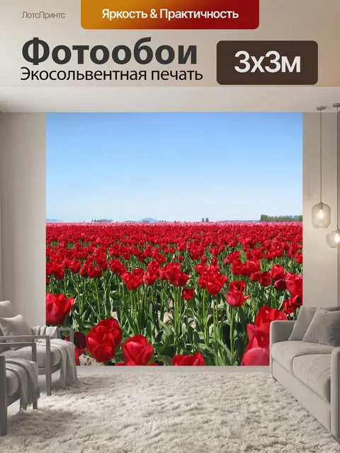 Фотообои Тюльпаны