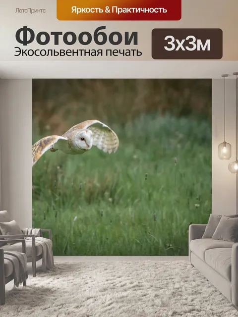 Фотообои Сова