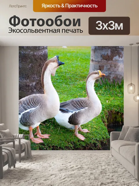 Фотообои Гусь