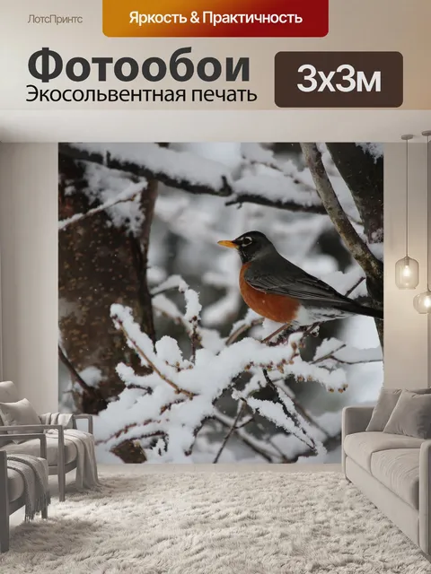 Фотообои Снежный Робин