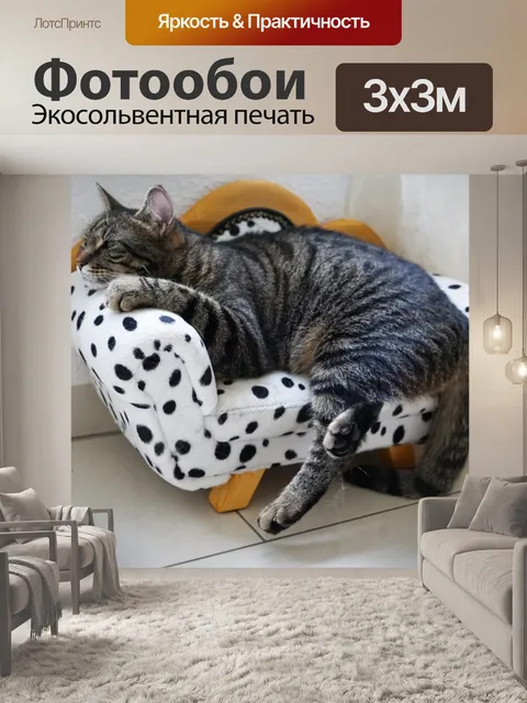 Фотообои Животное