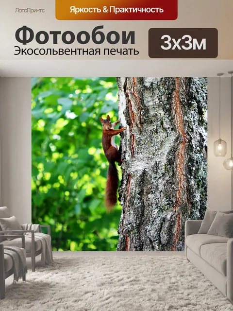 Фотообои Лес