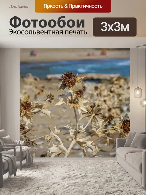 Фотообои Сухой