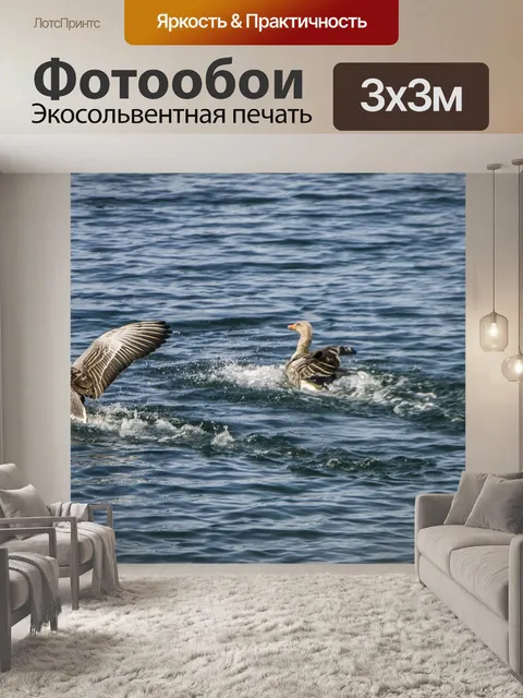 Фотообои Птицы