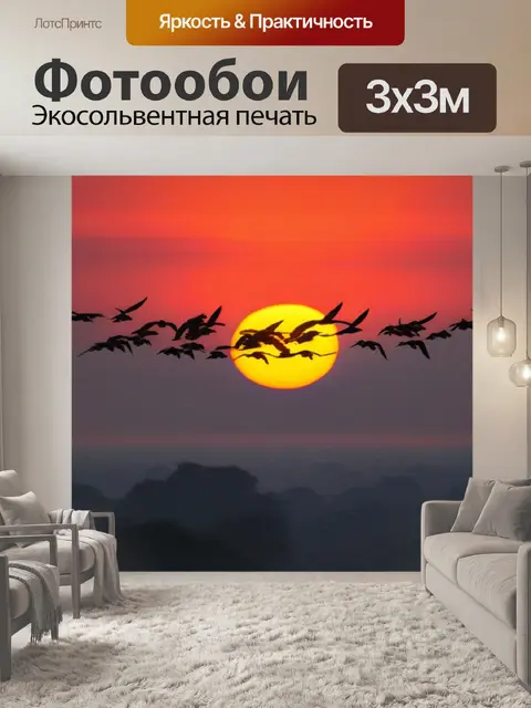 Фотообои птички в небе на фоне восходящего солнца