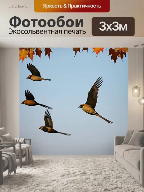 Фотообои осень — птицы, улетающие на юг против ветра