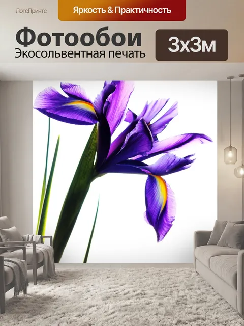 Фотообои Ирис