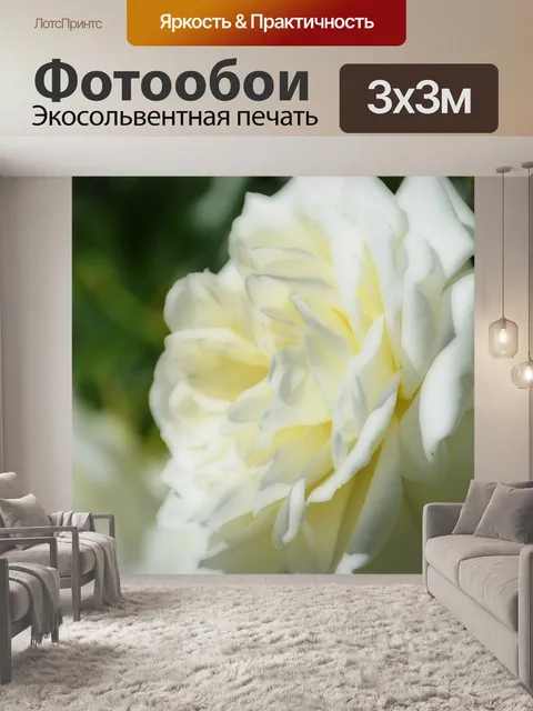 Фотообои Розовый