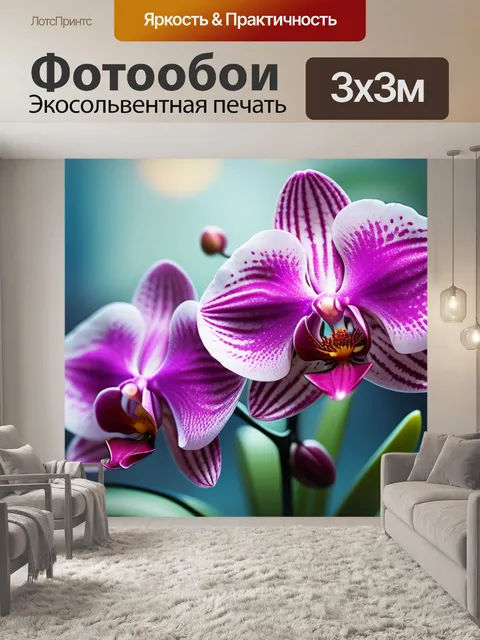 Фотообои с орхидеями минимал
