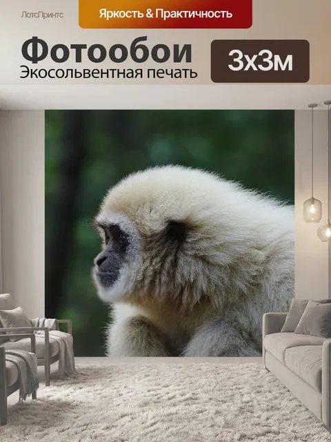 Фотообои Лес